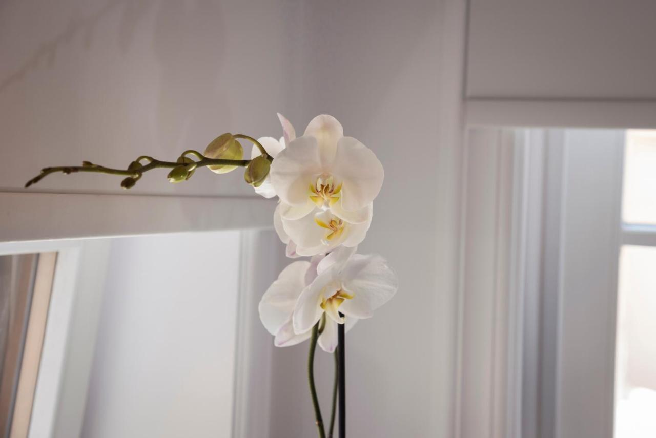 Casa Regina Luxury House Villa *